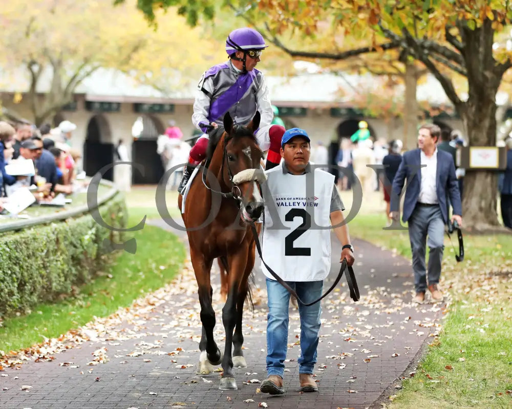 Poolside With Slim - The Bank Of America Valley View G2 34Th Running 10-25-24 R09 Keeneland Race