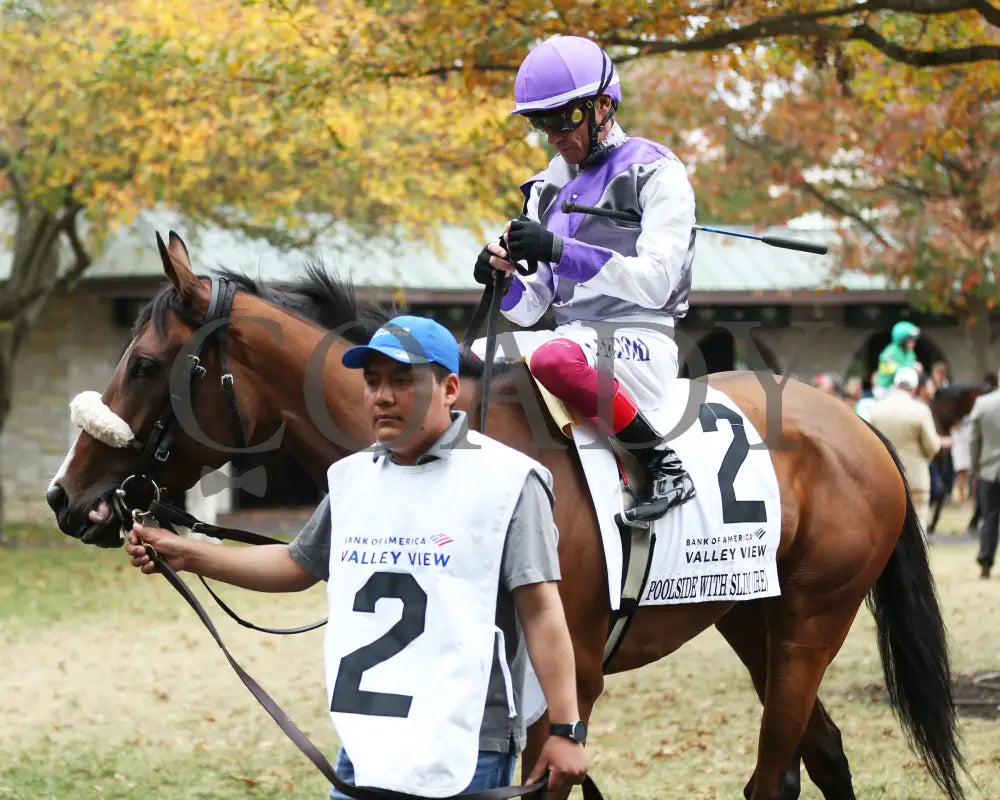 Poolside With Slim - The Bank Of America Valley View G2 34Th Running 10-25-24 R09 Keeneland Race