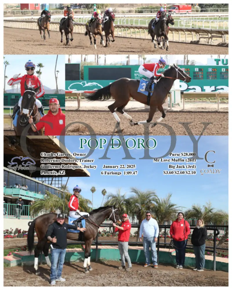 Pop D’oro - 01-22-25 R02 Tup Turf Paradise