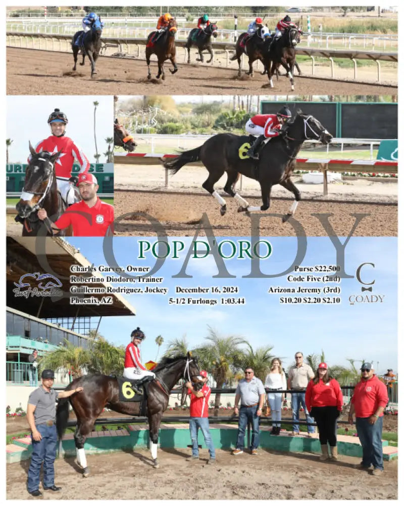 Pop D’oro - 12-16-24 R03 Tup Turf Paradise