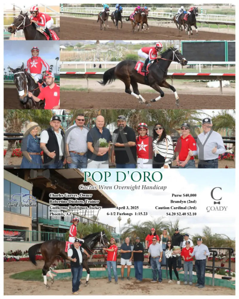 POP D’ORO - Cactus Wren Overnight Handicap - 04-03-25 - R09 - TUP Turf Paradise