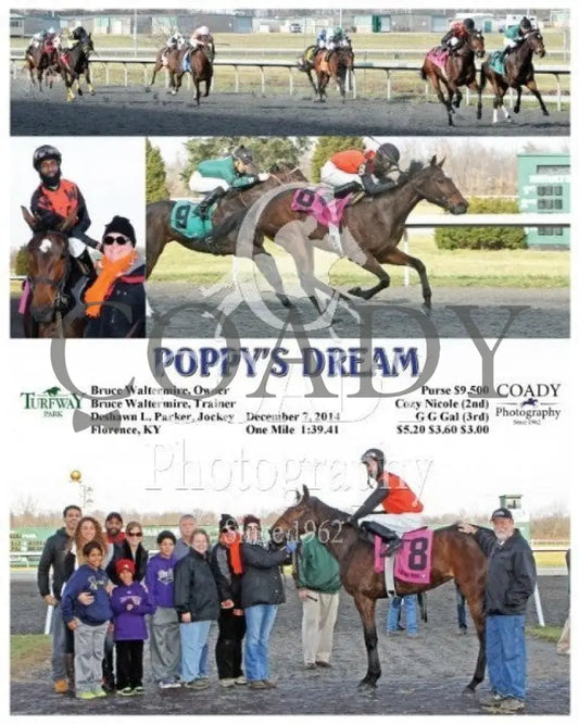 Poppy’s Dream - 120714 Race 03 Tp Turfway Park