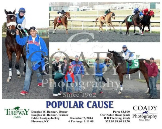 Popular Cause - 120714 Race 06 Tp Turfway Park