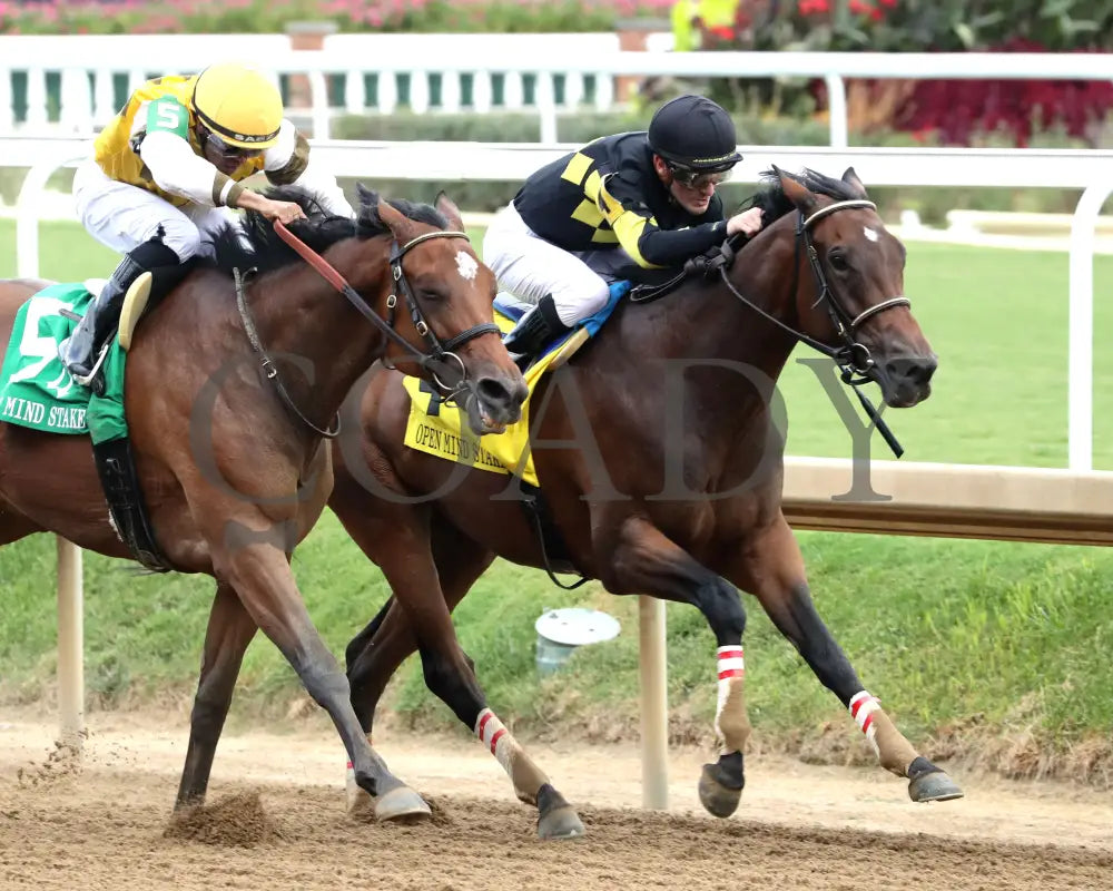 POSITANO SUNSET - The Open Mind - 16th Running - 09-13-25 - R09 - CD - Finish 05 - Coady Media - Kurtis Coady Photography