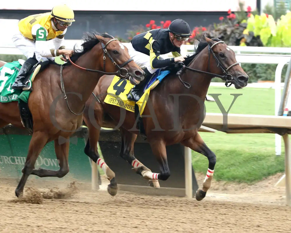 POSITANO SUNSET - The Open Mind - 16th Running - 09-13-25 - R09 - CD - Finish 06 - Coady Media - Kurtis Coady Photography