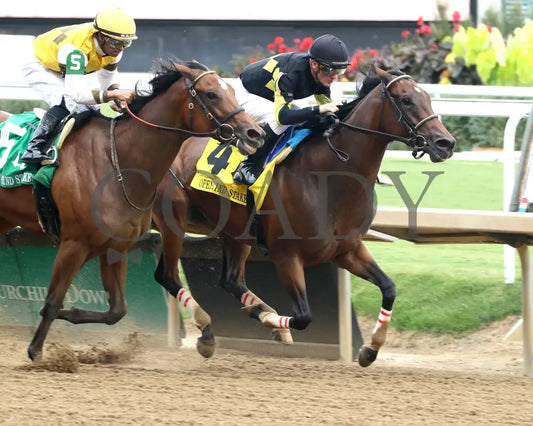 POSITANO SUNSET - The Open Mind - 16th Running - 09-13-25 - R09 - CD - Finish 06 - Coady Media - Kurtis Coady Photography