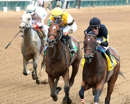 POSITANO SUNSET - The Open Mind - 16th Running - 09-13-25 - R09 - CD - Inside Finish 02 - Coady Media - Kurtis Coady Photography