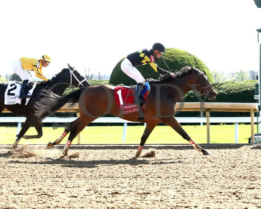 POSITANO SUNSET - The Resolute Racing Madison G1 - 04-08-25 - R08 - KEE - Finish 01 Keeneland