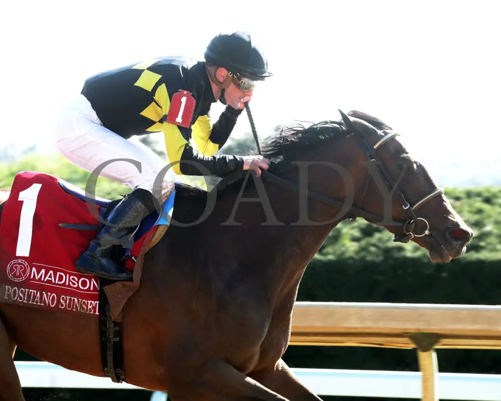 POSITANO SUNSET - The Resolute Racing Madison G1 - 04-08-25 - R08 - KEE - Finish 03 Keeneland