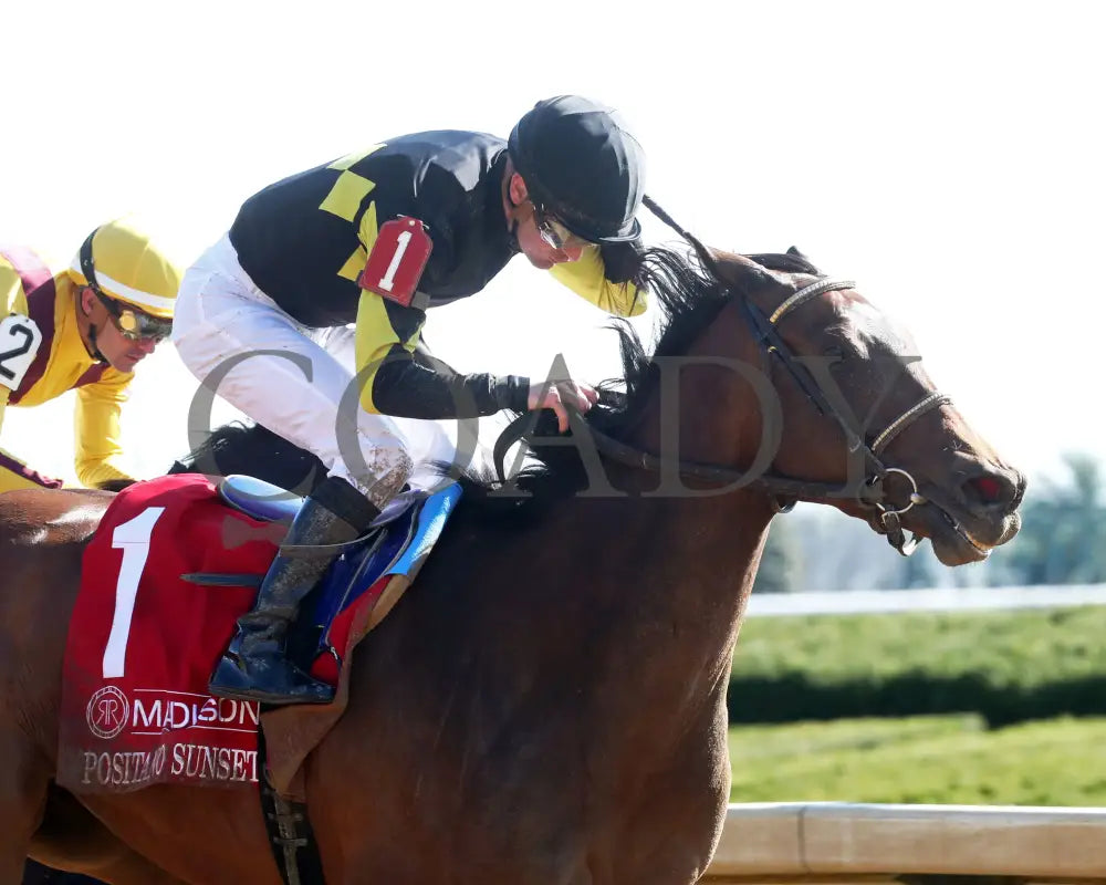 POSITANO SUNSET - The Resolute Racing Madison G1 - 04-08-25 - R08 - KEE - Finish 04 Keeneland