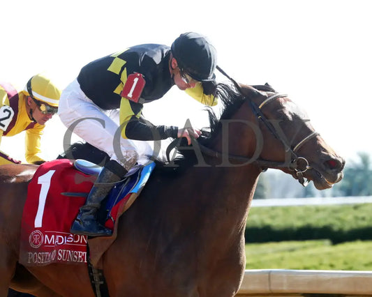 POSITANO SUNSET - The Resolute Racing Madison G1 - 04-08-25 - R08 - KEE - Finish 04 Keeneland