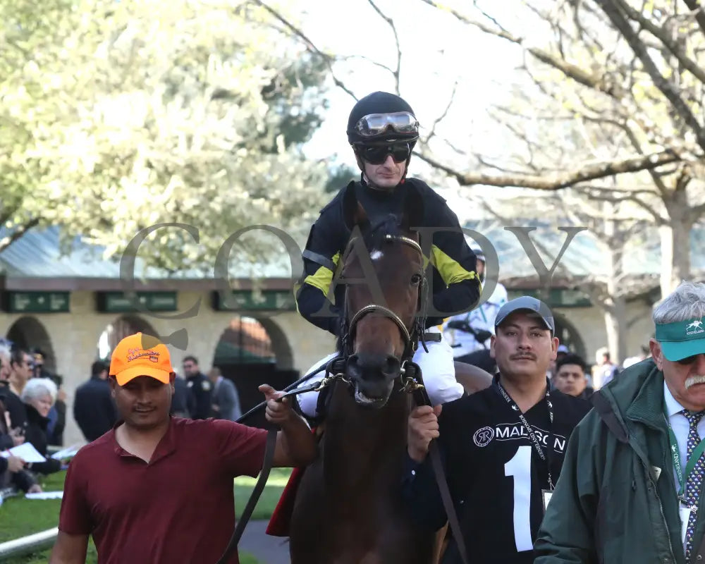 POSITANO SUNSET - The Resolute Racing Madison G1 - 04-08-25 - R08 - KEE - Paddock 01 Keeneland