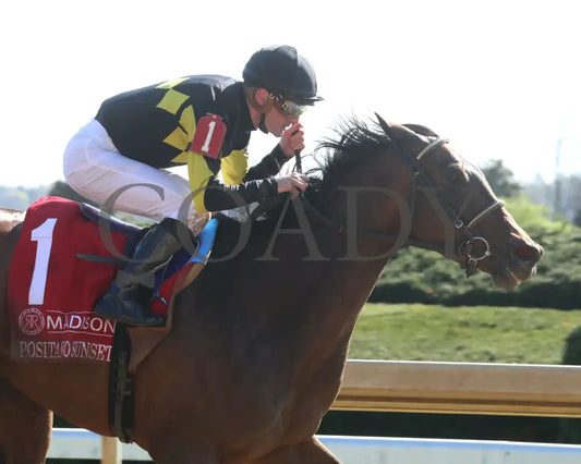 POSITANO SUNSET - The Resolute Racing Madison G1 - 04-08-25 - R08 - KEE - Tight Finish 01 Keeneland