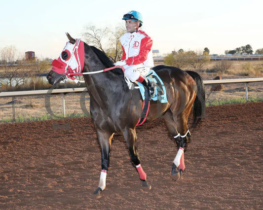 POUR ME A DRINKK - New Mexico Classic Futurity G2 - 11-23-25 - R10 - Zia Park - Return Shot2 - Coady Media - Kurtis Coady Photography