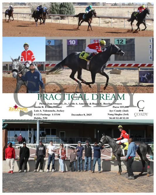 PRACTICAL DREAM - 12-08-25 - R01 - ZIA (Copy) - Coady Media - Kurtis Coady Photography