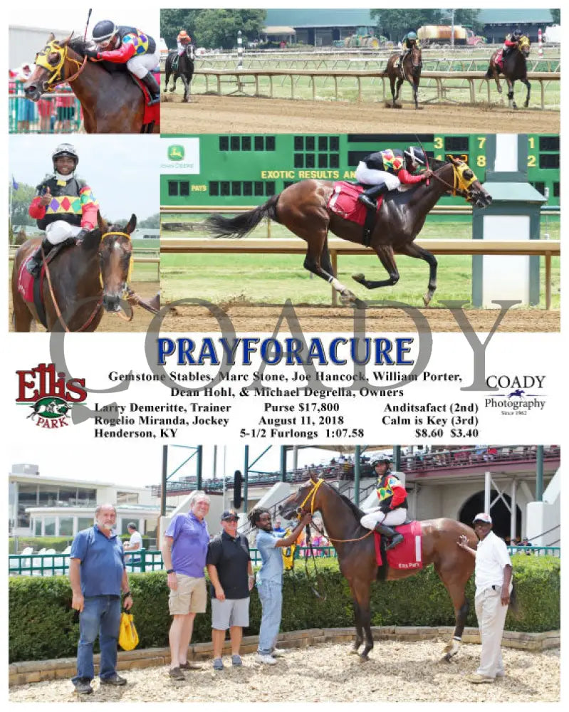 Prayforacure - 081118 Race 02 Elp Ellis Park