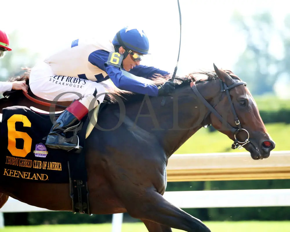 PRAYING - 100425 - Race 07 - KEE - Finish 02 Keeneland