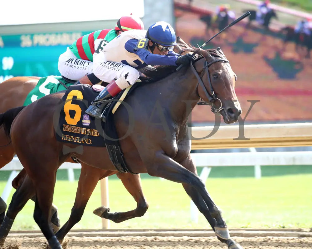 PRAYING - 100425 - Race 07 - KEE - Finish 04 Keeneland