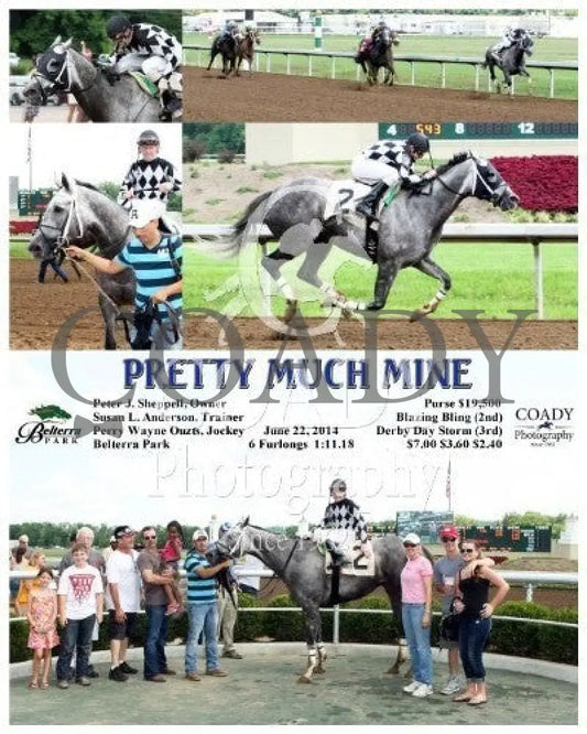 Pretty Much Mine - 062214 Race 07 Btp Belterra Park