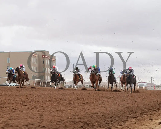 PREYING N SINNING - West Texas Juvenile Stakes-20th Rinning - 04-05-25 - R08 - Sunland Park - Under Rail Sunland Park