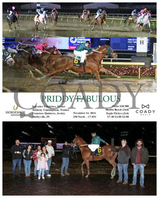 Priddy Fabulous - 11-14-24 R11 Ind Indiana Grand