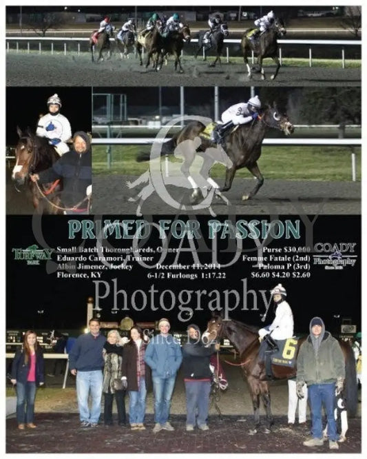 Primed For Passion - 121114 Race 07 Tp Turfway Park