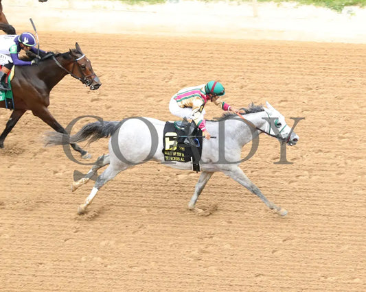 PRINCESS ALIYAH - The Valley Of The Vapors Stakes - 04-19-25 - R10 - OP - Aerial 02 Oaklawn Park