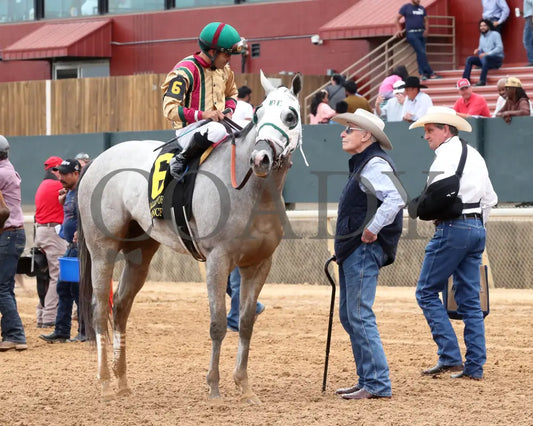 PRINCESS ALIYAH - The Valley Of The Vapors Stakes - 04-19-25 - R10 - OP - Come Back 01 Oaklawn Park