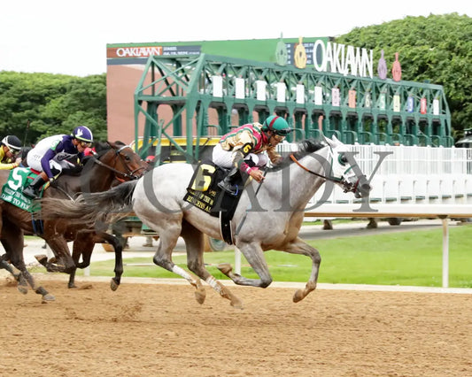 PRINCESS ALIYAH - The Valley Of The Vapors Stakes - 04-19-25 - R10 - OP - Finish 01 Oaklawn Park