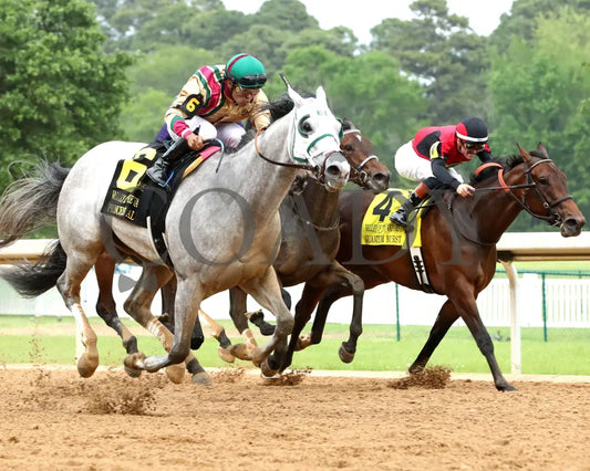 PRINCESS ALIYAH - The Valley Of The Vapors Stakes - 04-19-25 - R10 - OP - Finish 02 Oaklawn Park