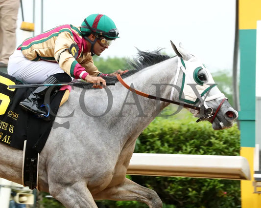 PRINCESS ALIYAH - The Valley Of The Vapors Stakes - 04-19-25 - R10 - OP - Finish 03 Oaklawn Park