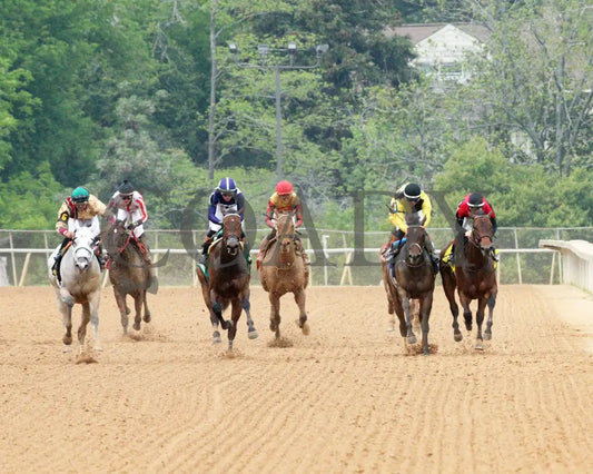PRINCESS ALIYAH - The Valley Of The Vapors Stakes - 04-19-25 - R10 - OP - Head On 01 Oaklawn Park