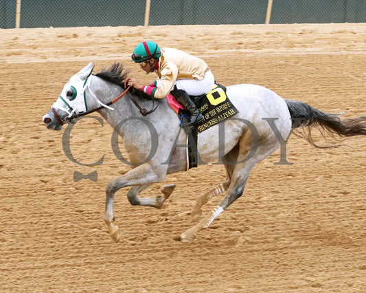 PRINCESS ALIYAH - The Valley Of The Vapors Stakes - 04-19-25 - R10 - OP - Inside Finish 01 Oaklawn Park