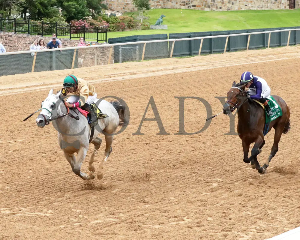 PRINCESS ALIYAH - The Valley Of The Vapors Stakes - 04-19-25 - R10 - OP - Inside Finish 02 Oaklawn Park