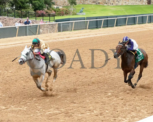 PRINCESS ALIYAH - The Valley Of The Vapors Stakes - 04-19-25 - R10 - OP - Inside Finish 02 Oaklawn Park