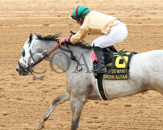 PRINCESS ALIYAH - The Valley Of The Vapors Stakes - 04-19-25 - R10 - OP - Inside Finish 03 Oaklawn Park