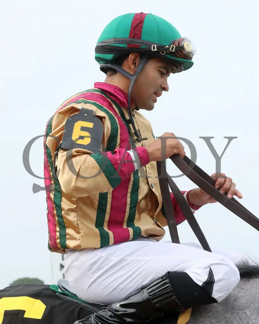 PRINCESS ALIYAH - The Valley Of The Vapors Stakes - 04-19-25 - R10 - OP - Luis Saez 02 Oaklawn Park