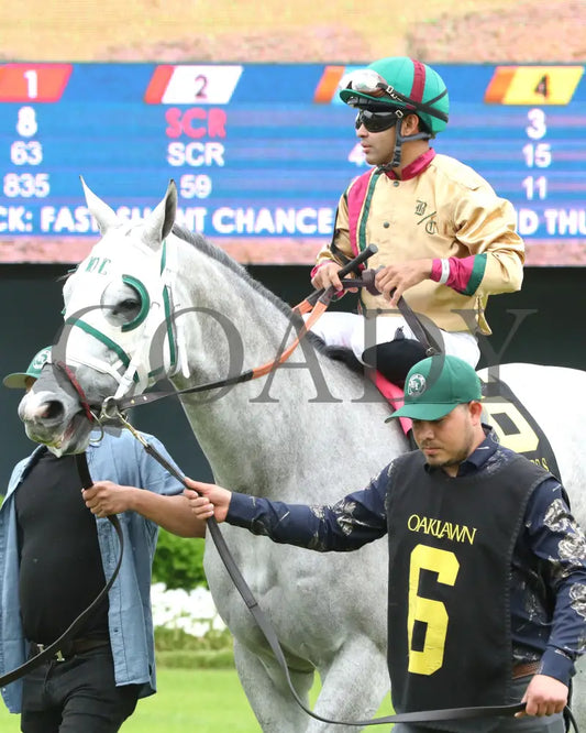 PRINCESS ALIYAH - The Valley Of The Vapors Stakes - 04-19-25 - R10 - OP - Paddock 01 Oaklawn Park