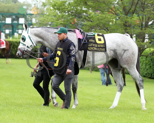PRINCESS ALIYAH - The Valley Of The Vapors Stakes - 04-19-25 - R10 - OP - Paddock 03 Oaklawn Park