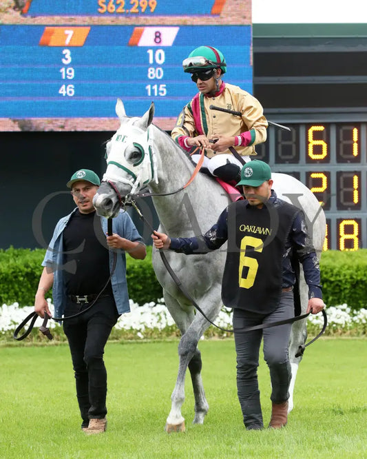 PRINCESS ALIYAH - The Valley Of The Vapors Stakes - 04-19-25 - R10 - OP - Paddock 05 Oaklawn Park
