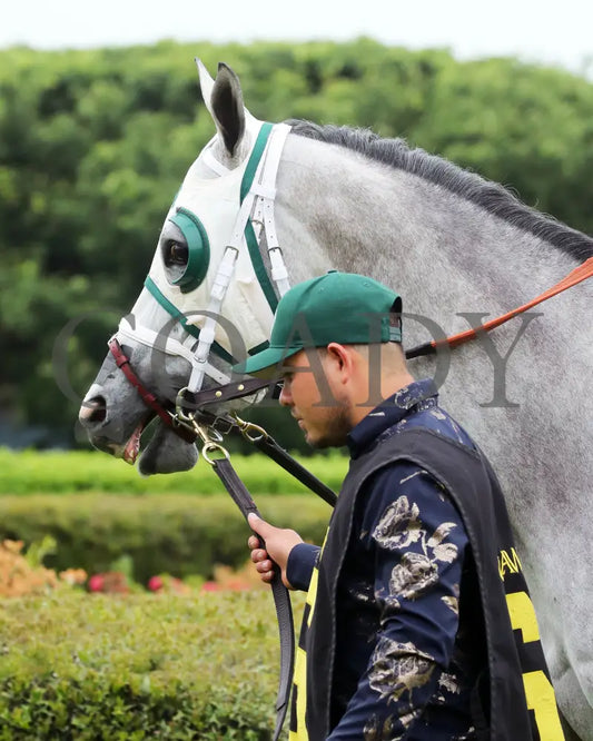 PRINCESS ALIYAH - The Valley Of The Vapors Stakes - 04-19-25 - R10 - OP - Paddock 06 Oaklawn Park
