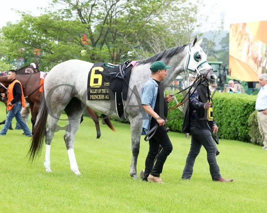 PRINCESS ALIYAH - The Valley Of The Vapors Stakes - 04-19-25 - R10 - OP - Paddock 04 Oaklawn Park