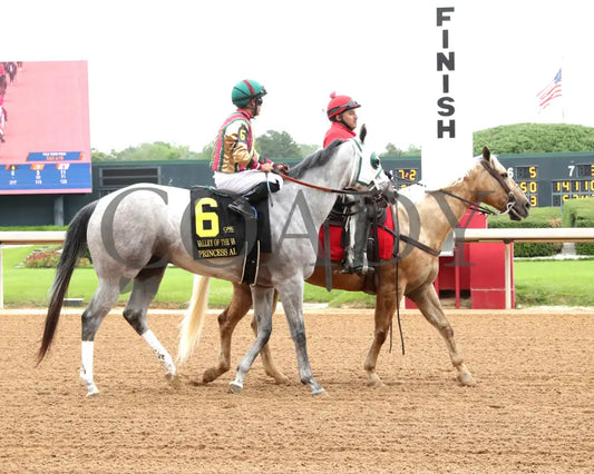 PRINCESS ALIYAH - The Valley Of The Vapors Stakes - 04-19-25 - R10 - OP - Post Parade 01 Oaklawn Park
