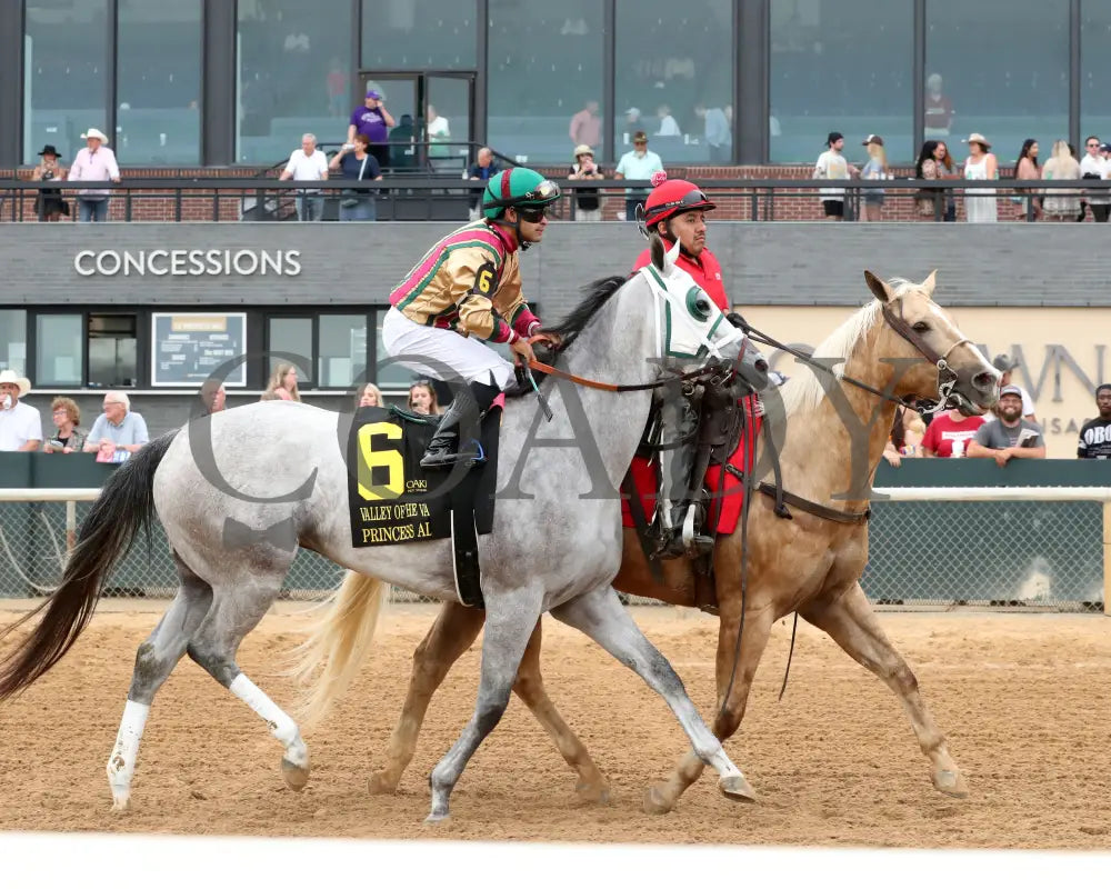 PRINCESS ALIYAH - The Valley Of The Vapors Stakes - 04-19-25 - R10 - OP - Post Parade 02 Oaklawn Park