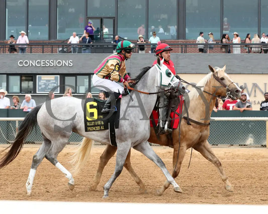 PRINCESS ALIYAH - The Valley Of The Vapors Stakes - 04-19-25 - R10 - OP - Post Parade 02 Oaklawn Park