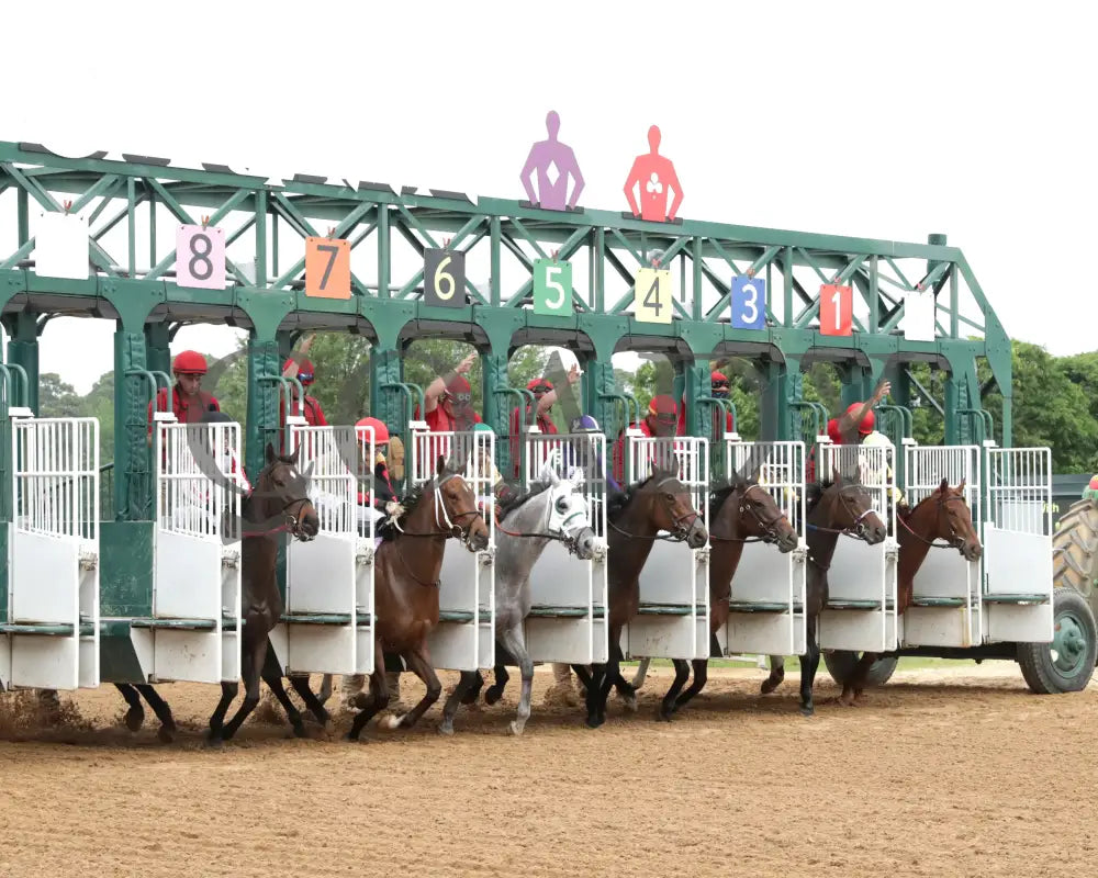 PRINCESS ALIYAH - The Valley Of The Vapors Stakes - 04-19-25 - R10 - OP - Start 01 Oaklawn Park