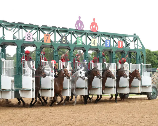 PRINCESS ALIYAH - The Valley Of The Vapors Stakes - 04-19-25 - R10 - OP - Start 01 Oaklawn Park