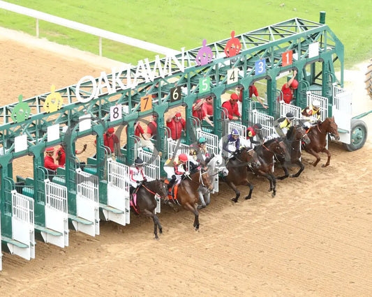PRINCESS ALIYAH - The Valley Of The Vapors Stakes - 04-19-25 - R10 - OP - Start 02 Oaklawn Park