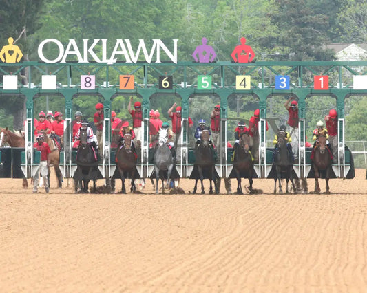 PRINCESS ALIYAH - The Valley Of The Vapors Stakes - 04-19-25 - R10 - OP - Start 03 Oaklawn Park