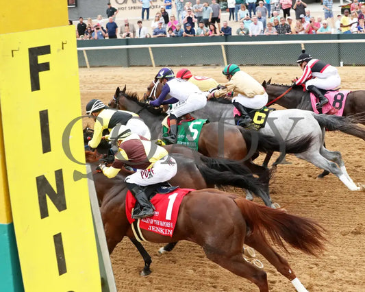PRINCESS ALIYAH - The Valley Of The Vapors Stakes - 04-19-25 - R10 - OP - Start 05 Oaklawn Park
